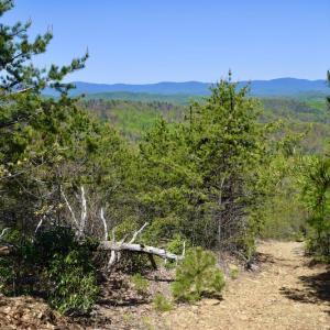Photo #30 of SOLD property in Off Chase Log Road, Stuart, VA 46.4 acres