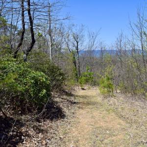 Photo #32 of SOLD property in Off Chase Log Road, Stuart, VA 46.4 acres