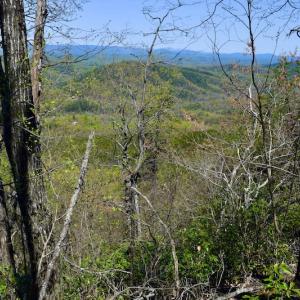 Photo #34 of SOLD property in Off Chase Log Road, Stuart, VA 46.4 acres
