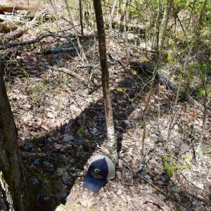 Photo #41 of SOLD property in Off Chase Log Road, Stuart, VA 46.4 acres
