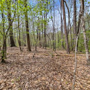 Photo #3 of SOLD property in Off Mountain Drive, Callands, VA 7.0 acres