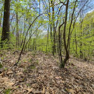 Photo #8 of SOLD property in Off Mountain Drive, Callands, VA 7.0 acres
