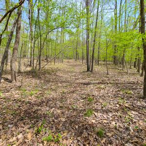 Photo #18 of SOLD property in Off Mountain Drive, Callands, VA 7.0 acres