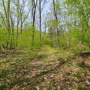 Photo #19 of SOLD property in Off Mountain Drive, Callands, VA 7.0 acres