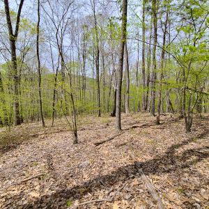 Photo #25 of SOLD property in Off Mountain Drive, Callands, VA 7.0 acres