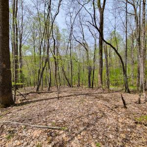 Photo #27 of SOLD property in Off Mountain Drive, Callands, VA 7.0 acres