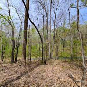 Photo #28 of SOLD property in Off Mountain Drive, Callands, VA 7.0 acres