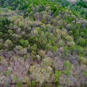 Photo #30 of SOLD property in Off Mountain Drive, Callands, VA 7.0 acres