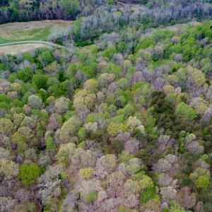 Photo #32 of SOLD property in Off Mountain Drive, Callands, VA 7.0 acres