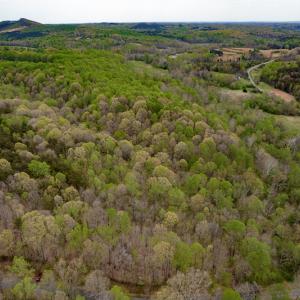Photo #36 of SOLD property in Off Mountain Drive, Callands, VA 7.0 acres