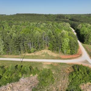 Photo #4 of SOLD property in Off Gaston Hills Lane, Gaston, NC 11.5 acres
