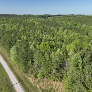 Photo #10 of SOLD property in Off Gaston Hills Lane, Gaston, NC 11.5 acres