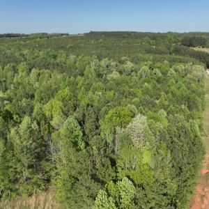 Photo #12 of SOLD property in Off Gaston Hills Lane, Gaston, NC 11.5 acres