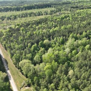 Photo #13 of SOLD property in Off Gaston Hills Lane, Gaston, NC 11.5 acres