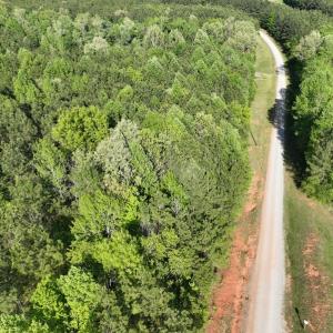 Photo #14 of SOLD property in Off Gaston Hills Lane, Gaston, NC 11.5 acres