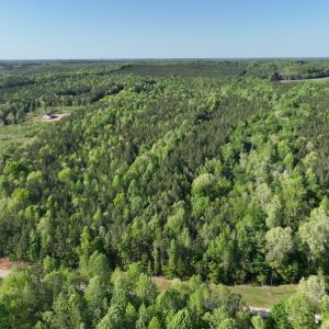 Photo #15 of SOLD property in Off Gaston Hills Lane, Gaston, NC 11.5 acres
