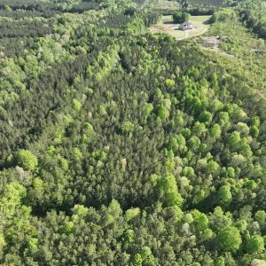 Photo #16 of SOLD property in Off Gaston Hills Lane, Gaston, NC 11.5 acres