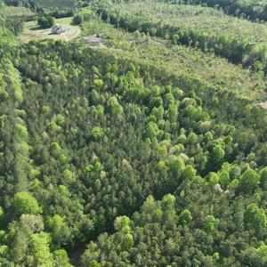 Photo #17 of SOLD property in Off Gaston Hills Lane, Gaston, NC 11.5 acres
