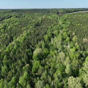 Photo #19 of SOLD property in Off Gaston Hills Lane, Gaston, NC 11.5 acres