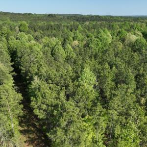 Photo #21 of SOLD property in Off Gaston Hills Lane, Gaston, NC 11.5 acres