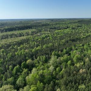 Photo #23 of SOLD property in Off Gaston Hills Lane, Gaston, NC 11.5 acres