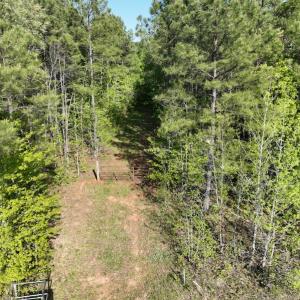 Photo #24 of SOLD property in Off Gaston Hills Lane, Gaston, NC 11.5 acres