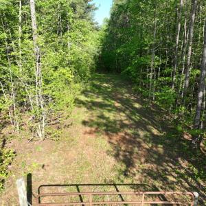 Photo #25 of SOLD property in Off Gaston Hills Lane, Gaston, NC 11.5 acres