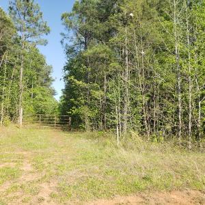 Photo #26 of SOLD property in Off Gaston Hills Lane, Gaston, NC 11.5 acres