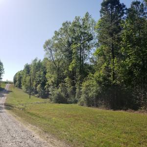 Photo #27 of SOLD property in Off Gaston Hills Lane, Gaston, NC 11.5 acres