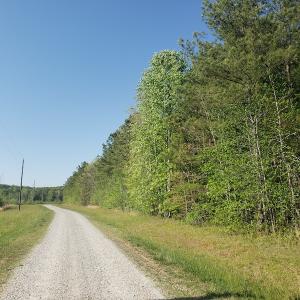 Photo #28 of SOLD property in Off Gaston Hills Lane, Gaston, NC 11.5 acres