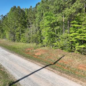 Photo #29 of SOLD property in Off Gaston Hills Lane, Gaston, NC 11.5 acres
