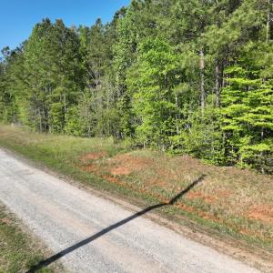 Photo #29 of SOLD property in Off Gaston Hills Lane, Gaston, NC 11.5 acres