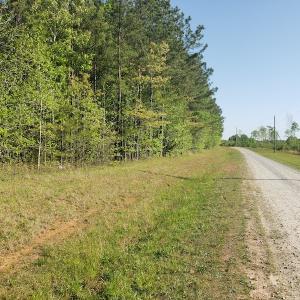 Photo #30 of SOLD property in Off Gaston Hills Lane, Gaston, NC 11.5 acres