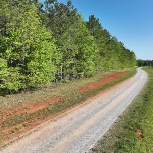 Photo #32 of SOLD property in Off Gaston Hills Lane, Gaston, NC 11.5 acres
