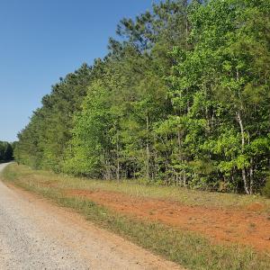Photo #33 of SOLD property in Off Gaston Hills Lane, Gaston, NC 11.5 acres