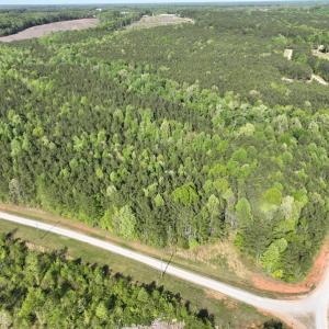 Photo #5 of SOLD property in Off Gaston Hills Lane, Gaston, NC 11.5 acres