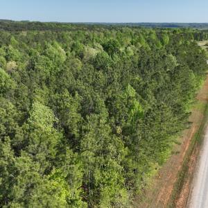 Photo #7 of SOLD property in Off Gaston Hills Lane, Gaston, NC 11.5 acres