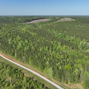 Photo #8 of SOLD property in Off Gaston Hills Lane, Gaston, NC 11.5 acres