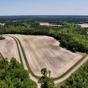 Photo #9 of SOLD property in Off Highway 58, Trenton, NC 418.0 acres
