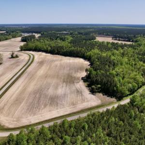 Photo #10 of SOLD property in Off Highway 58, Trenton, NC 418.0 acres