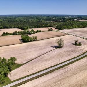 Photo #11 of SOLD property in Off Highway 58, Trenton, NC 418.0 acres