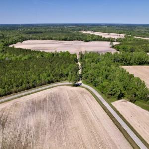 Photo #12 of SOLD property in Off Highway 58, Trenton, NC 418.0 acres