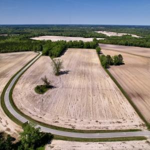 Photo #13 of SOLD property in Off Highway 58, Trenton, NC 418.0 acres