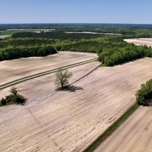 Photo #15 of SOLD property in Off Highway 58, Trenton, NC 418.0 acres