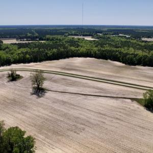Photo #16 of SOLD property in Off Highway 58, Trenton, NC 418.0 acres