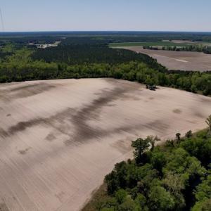 Photo #17 of SOLD property in Off Highway 58, Trenton, NC 418.0 acres