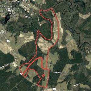 Photo #1 of SOLD property in Off Highway 58, Trenton, NC 418.0 acres