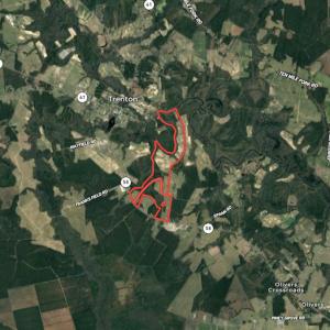 Photo #43 of SOLD property in Off Highway 58, Trenton, NC 418.0 acres