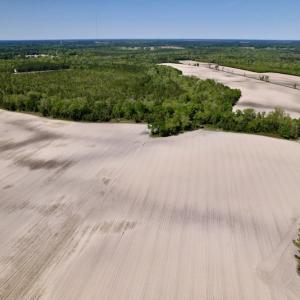 Photo #21 of SOLD property in Off Highway 58, Trenton, NC 418.0 acres