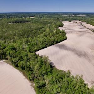 Photo #22 of SOLD property in Off Highway 58, Trenton, NC 418.0 acres